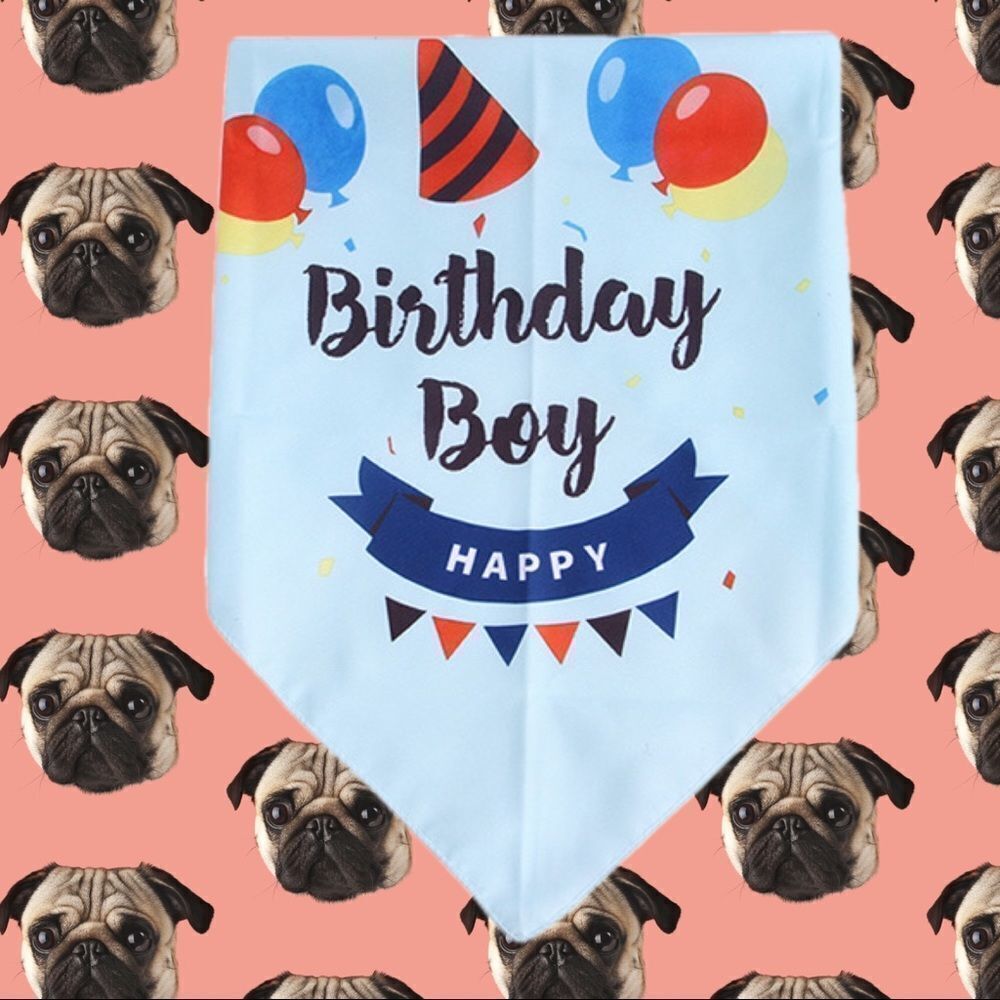 Blue Birthday Boy Set - Picture 2 of 5